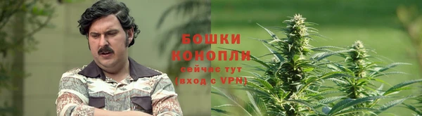 дживик Беломорск